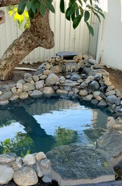 Burbank pond project