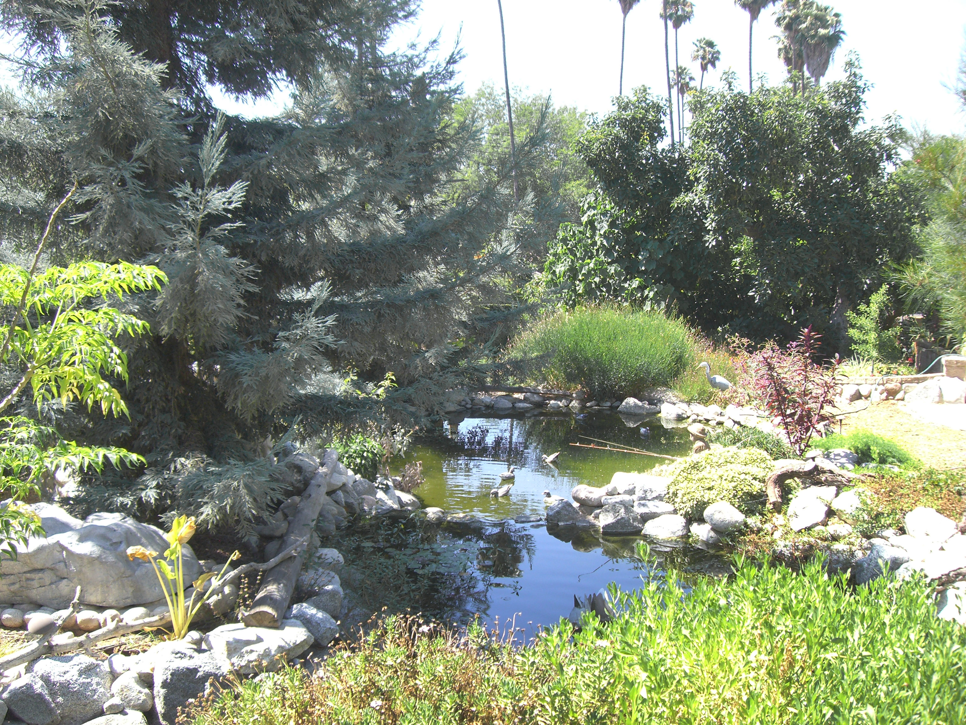 riverside pond